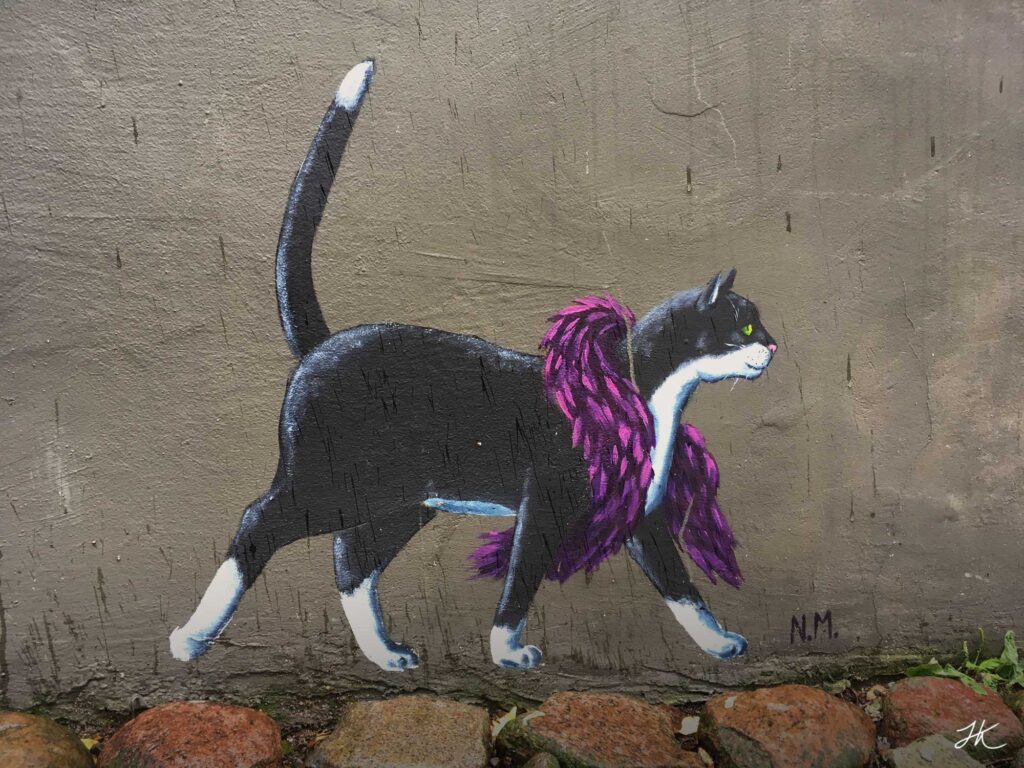 Katze im Oluf-Samson-Gang mit Federboa